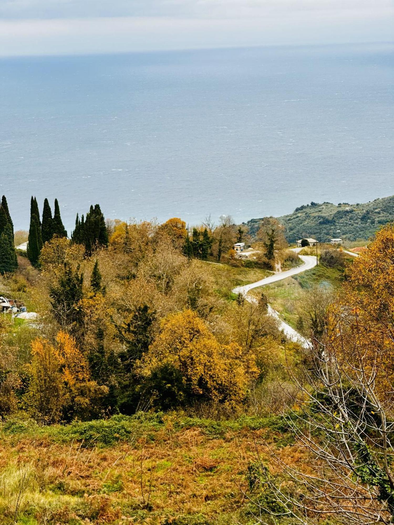 Luxury Villa At Pelion- Ruby Zagora Exteriör bild
